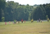 050-TAN_1047