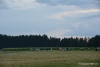 223-TAN_1230